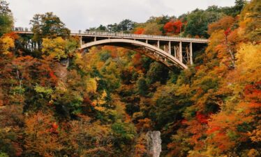 Sendai City One-day tour