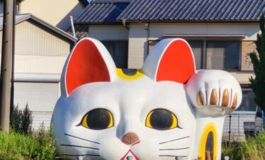 Nagoya City Day tour
