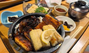 Hamamatsu One-Day tour